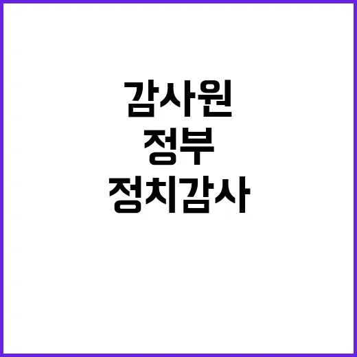 감사원 정치 감사 …