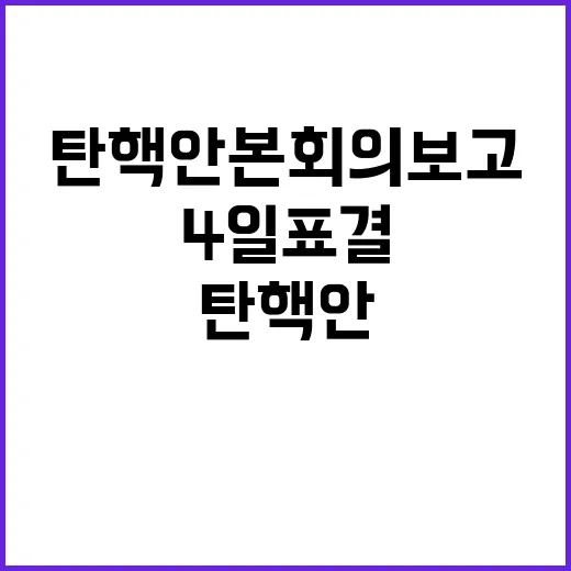 탄핵안 본회의 보고…