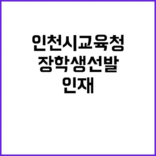 인천시교육청 지역 …