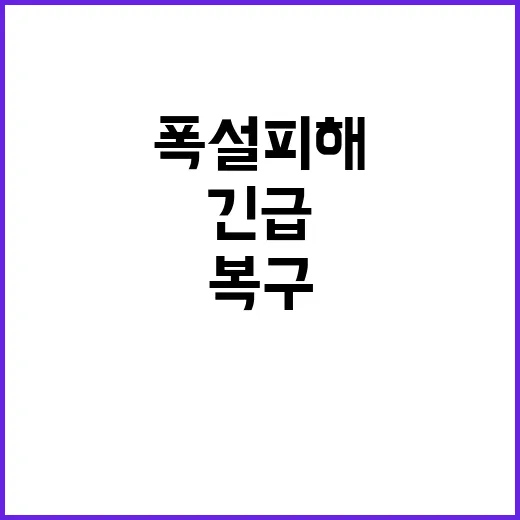 폭설 피해 중부지방…