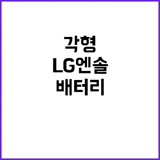 LG엔솔 혁신적 각…