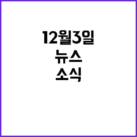 12월 3일 뉴스리…