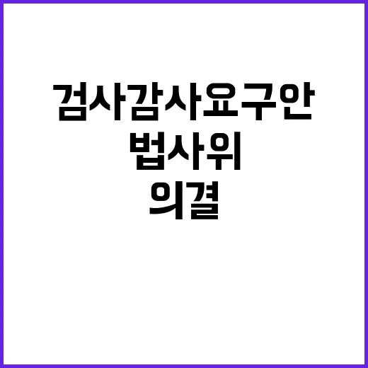 법사위 검사 감사요…