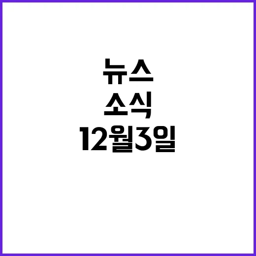 12월 3일 뉴스리…