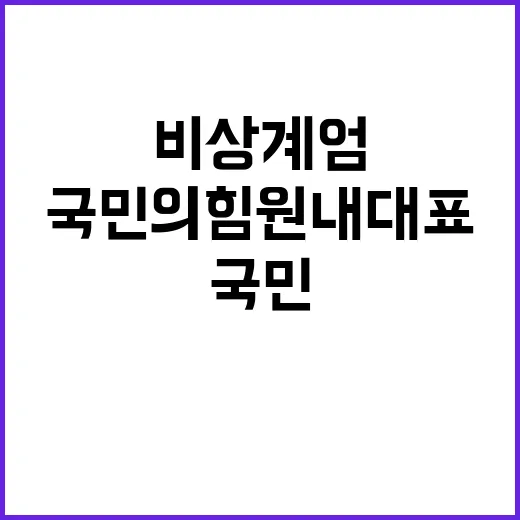 비상계엄 국민의힘 …