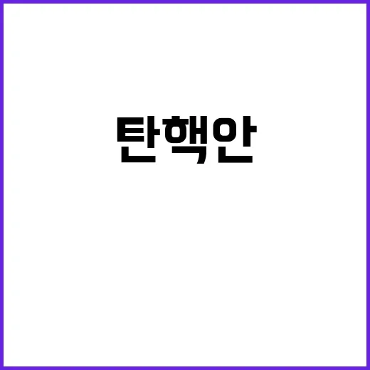 탄핵안 野6당의 역…