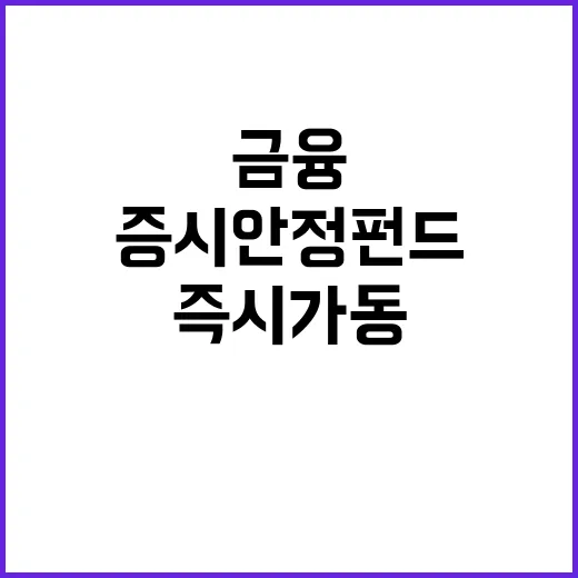 “증시안정펀드 즉시…