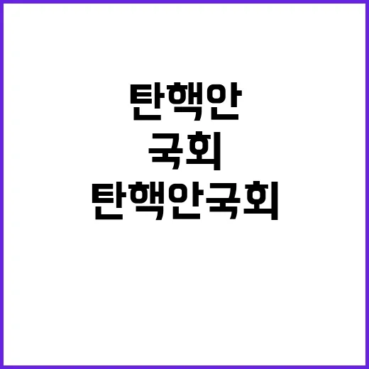 탄핵안 국회 보고 …