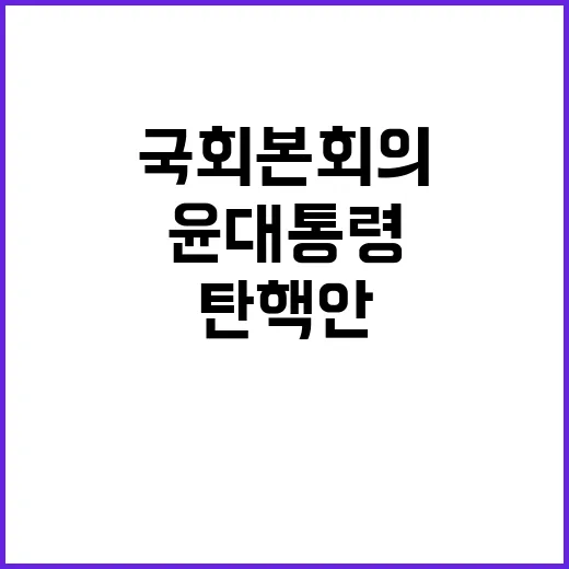 탄핵안 국회 본회의…