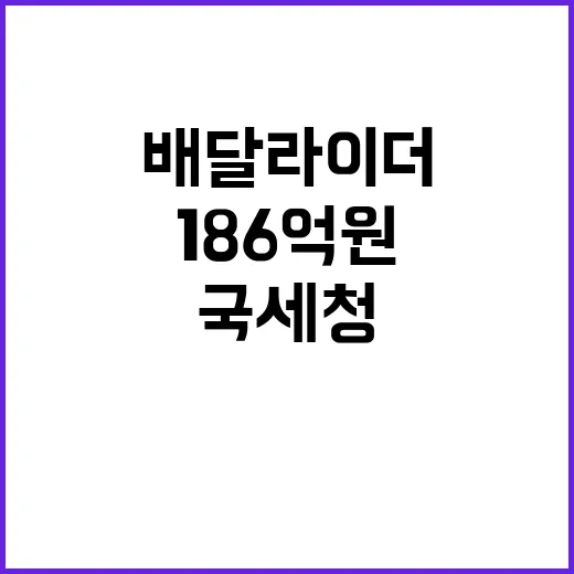 국세청 배달라이더 …