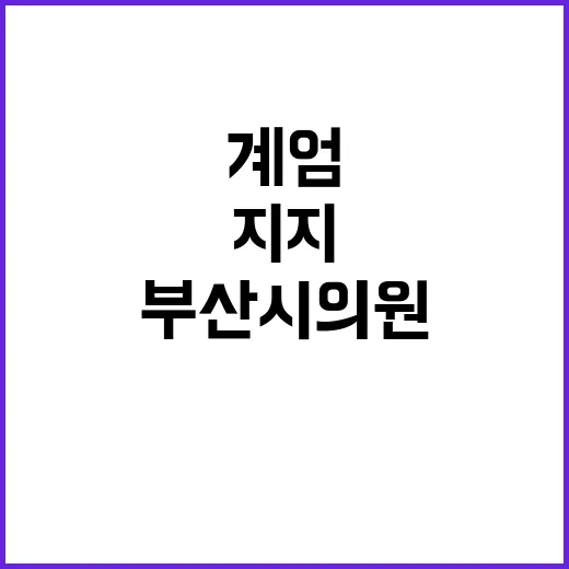 “계엄 지지 부산시…