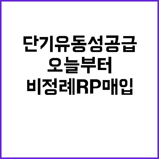 비정례 RP매입 오…