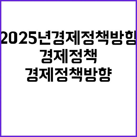 2025년 경제정책…