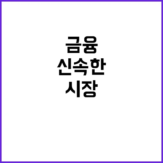 금융시장 정부의 신…