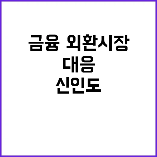 안정세 금융·외환시…