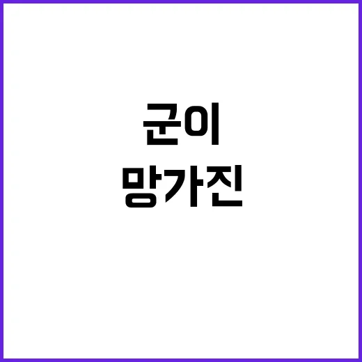 망가진 군 이 충격 사실 알고 있었나요?