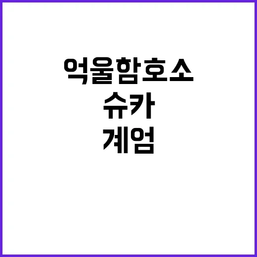 슈카 억울함 호소 …