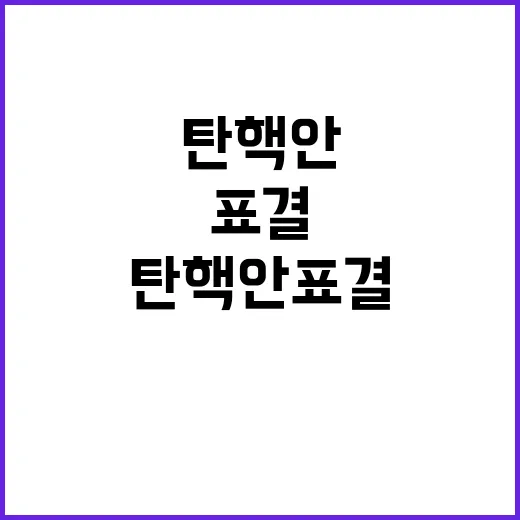 탄핵안 표결 여당의…