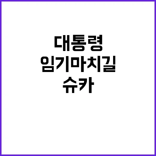 슈카 발언 대통령 …