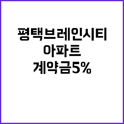 착한 아파트 평택 브레인시티 계약금 5% 혜택!