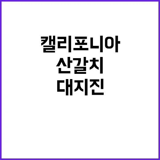 산갈치 신호 캘리포…