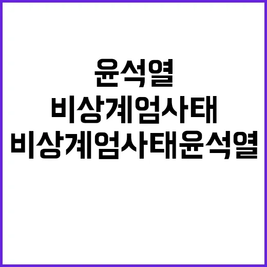 비상계엄 사태 윤석열 운명 오후 5시 결정!