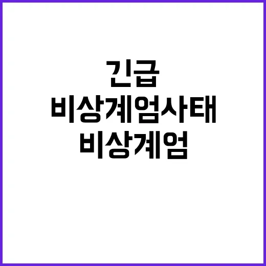 비상계엄 사태 군 관련자들 긴급 체포 뉴스!