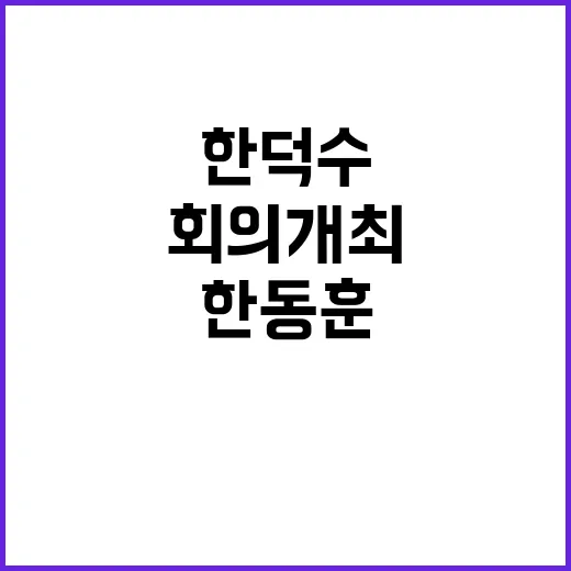 한동훈 대안 마련 …