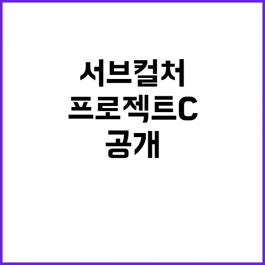 프로젝트 C 서브컬처 팬들과의 놀라운 협업 공개!