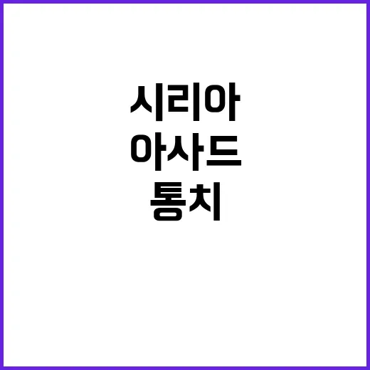 시리아 철권통치 종…