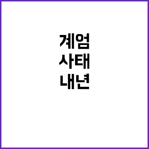 계엄 사태 내년 예…