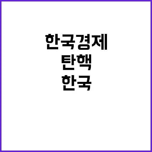 탄핵 한국경제의 유…