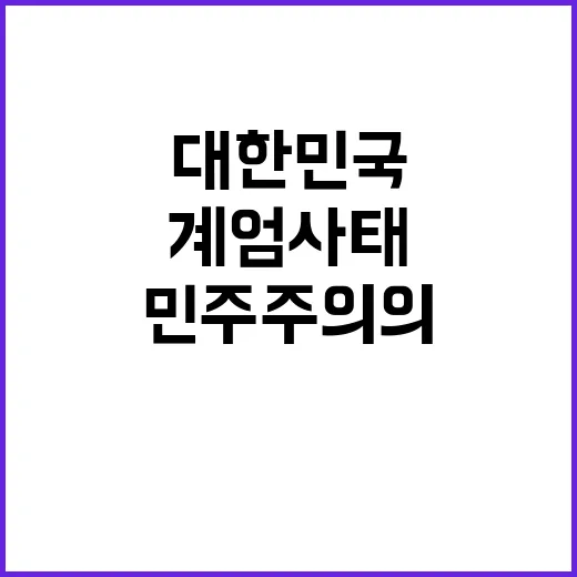 계엄사태 대한민국 …