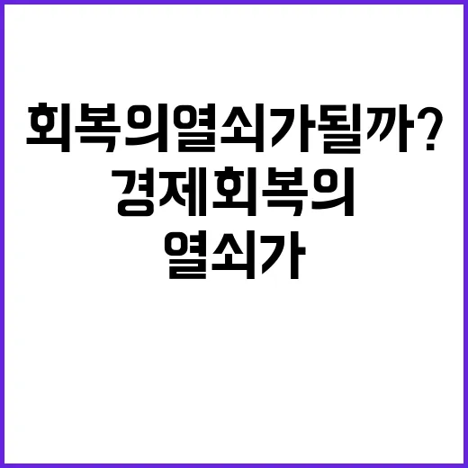 정부 대책 경제 회…