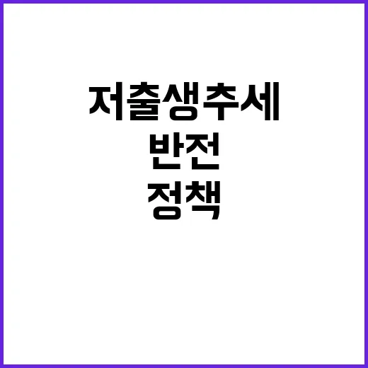 저출생 추세 정책 …