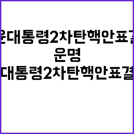 모정과 부정 사랑의…