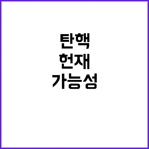 탄핵 위기 헌재법 51조로 뒤집힐 가능성!