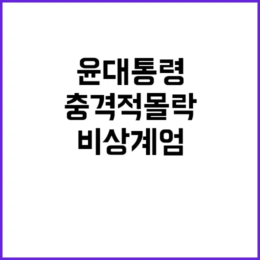 비상계엄 윤 대통령의 충격적 몰락의 진실 공개