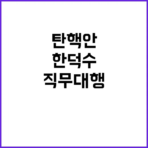 윤 탄핵안 한덕수 직무대행…한동훈 체제 흔들린다!