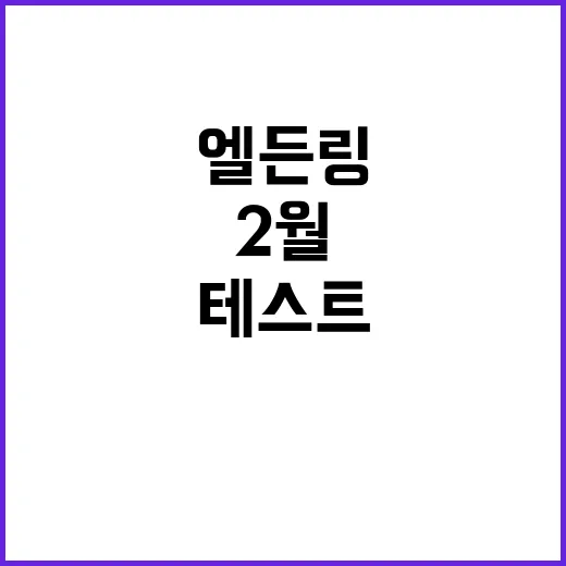 엘든 링 신작 2월 협동 테스트 열린다!