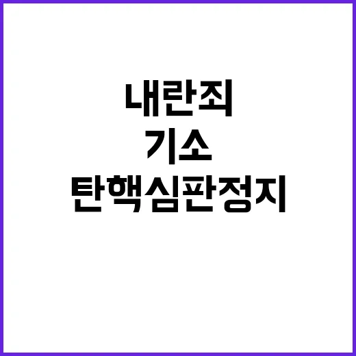 내란죄 기소? 헌재의 탄핵심판 정지 요청!