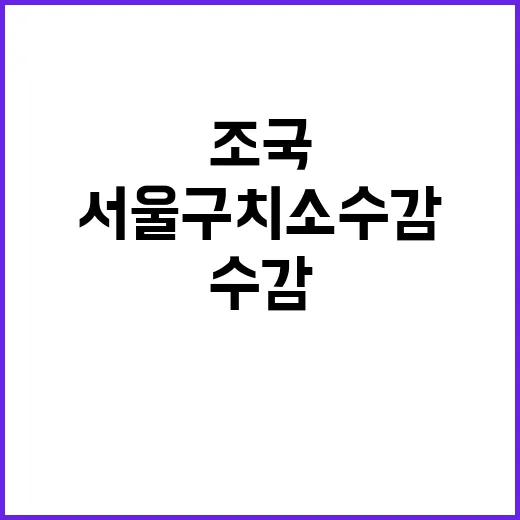 조국 서울구치소 수감 후 새로운 계획 공개!