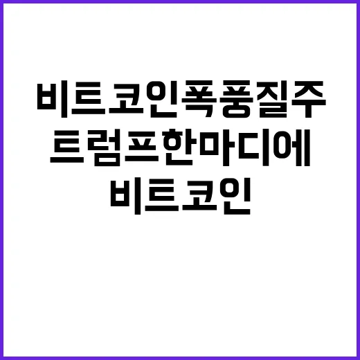 비트코인 폭풍 질주 트럼프 한마디에 신기록!