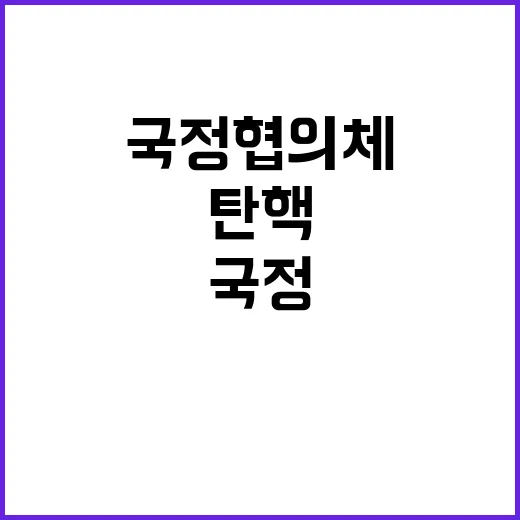 탄핵 논의 국정협의체의 실질적 필요성