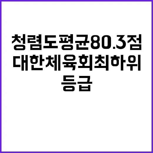 청렴도 평균 80.3점 대한체육회 최하위 등급!