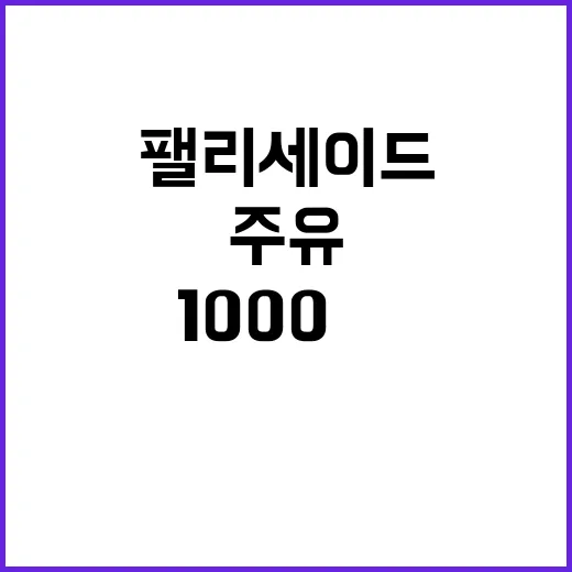 놀라운 1회 주유 1000㎞…디 올 뉴 팰리세이드!