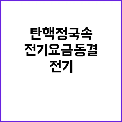 전기요금 동결 탄핵 정국 속 숨은 이유?