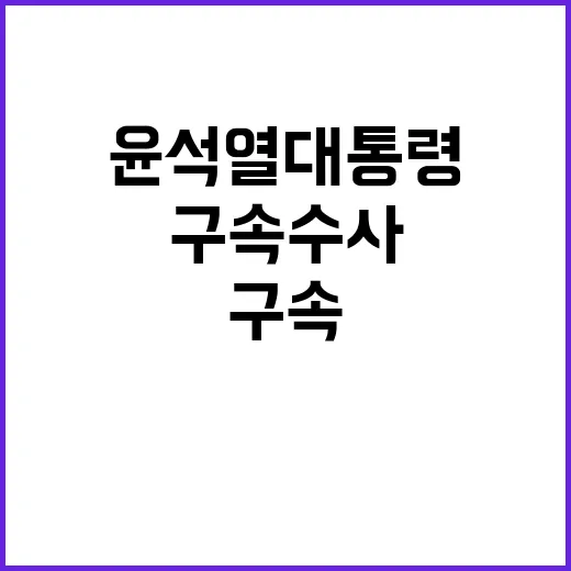 구속 수사 윤석열 대통령의 운명은?