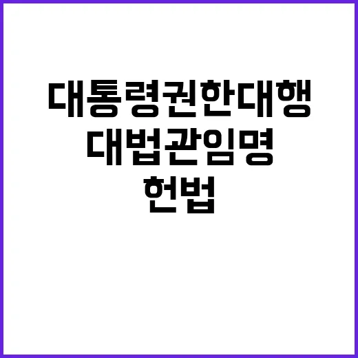 대법관 임명 대통령 권한대행 헌법 적합 판결!