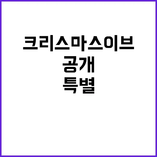 푸바오 공개 크리스마스 이브의 특별한 순간!